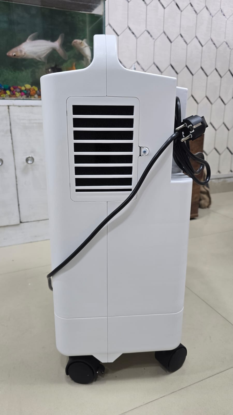 LONGFIAN J5BW